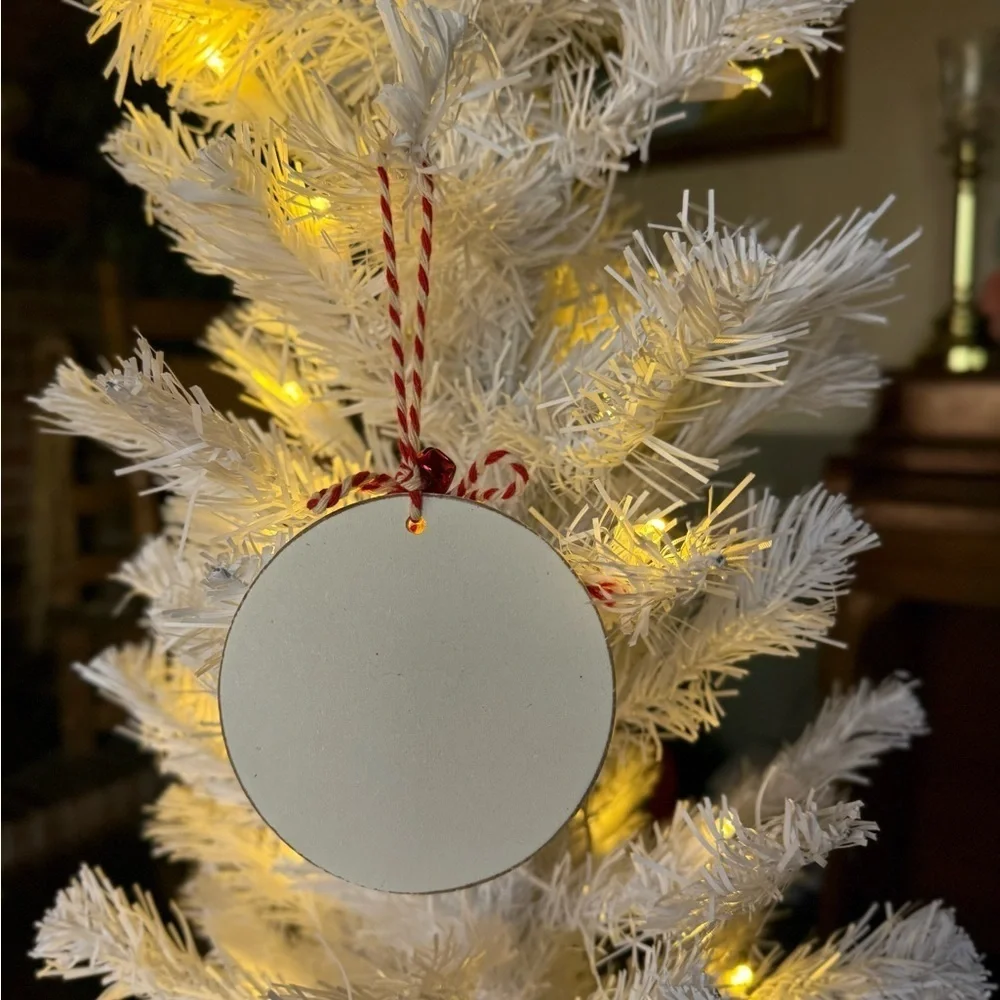 Elf Cam Christmas Ornament